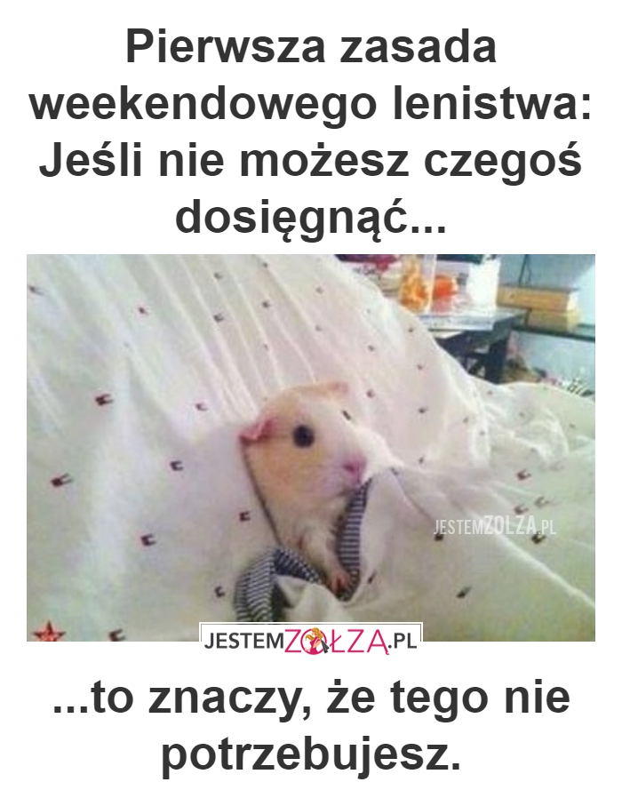 ZASADA WEEKENDOWEGO LENISTWA