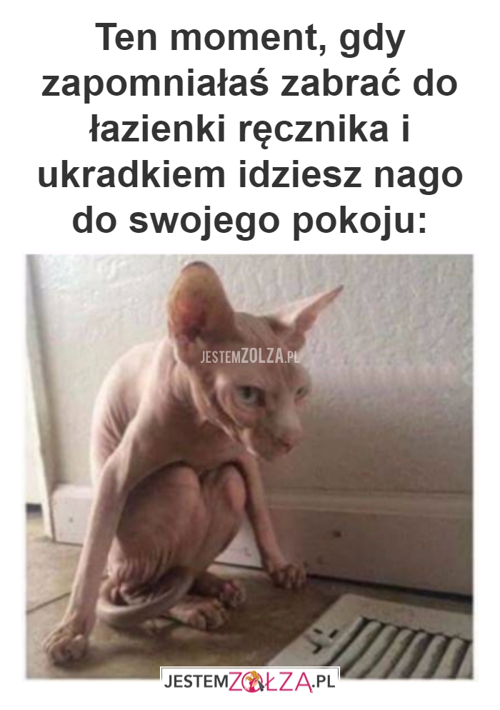 ręcznik