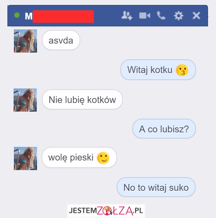 Witaj kotku...