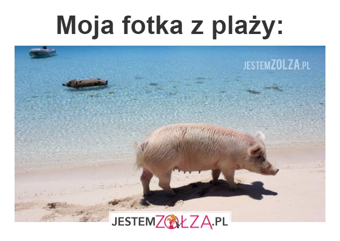 Fotka z plaży