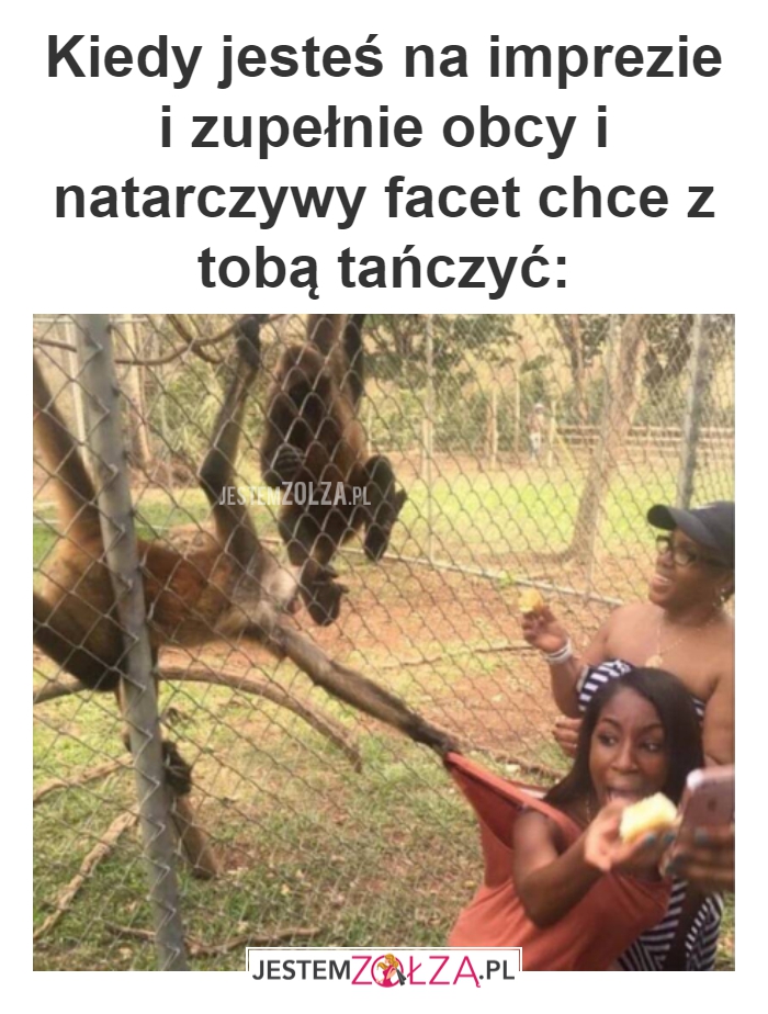 Taniec