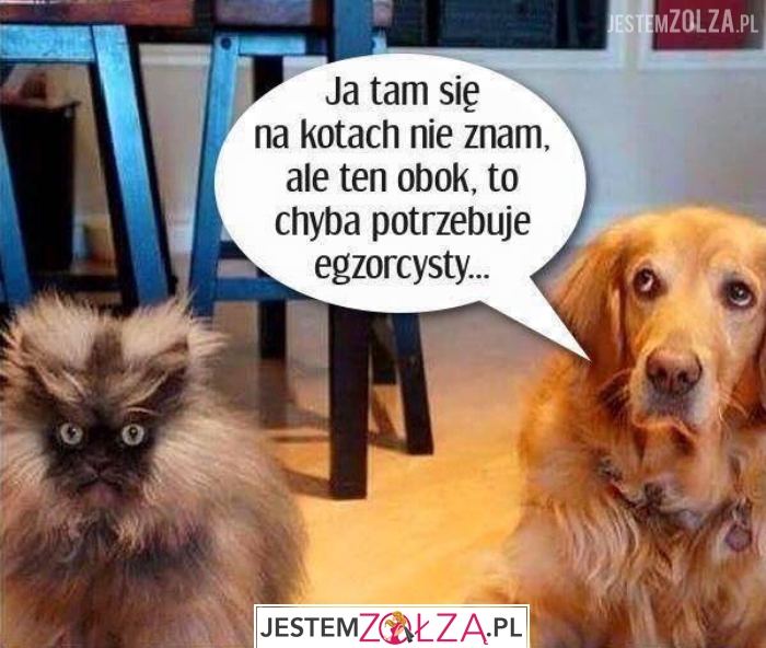 Koteł diabeł
