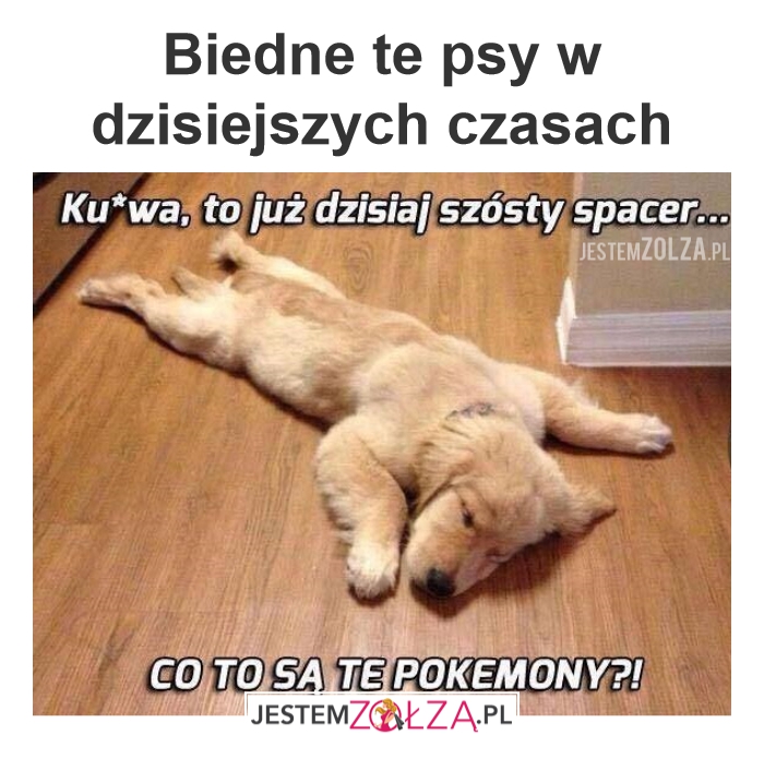 Pokemon Go again