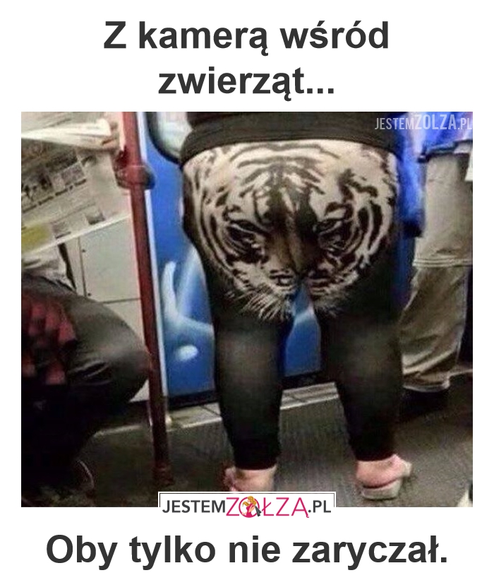 Miejska dżungla