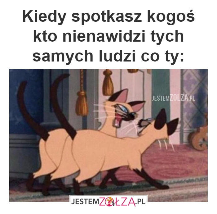 Spotkanie