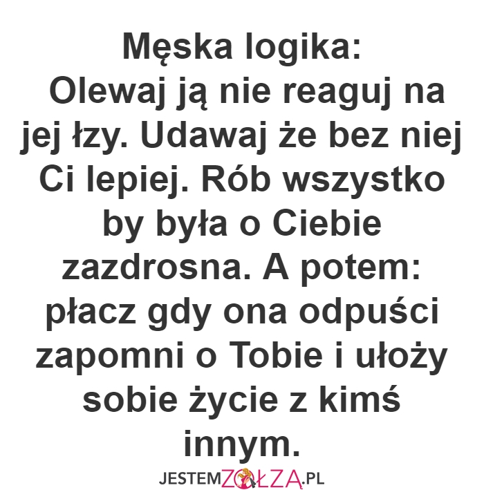 Męska logika...