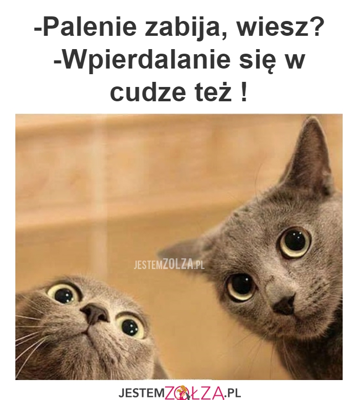 CIĘTA RIPOSTA