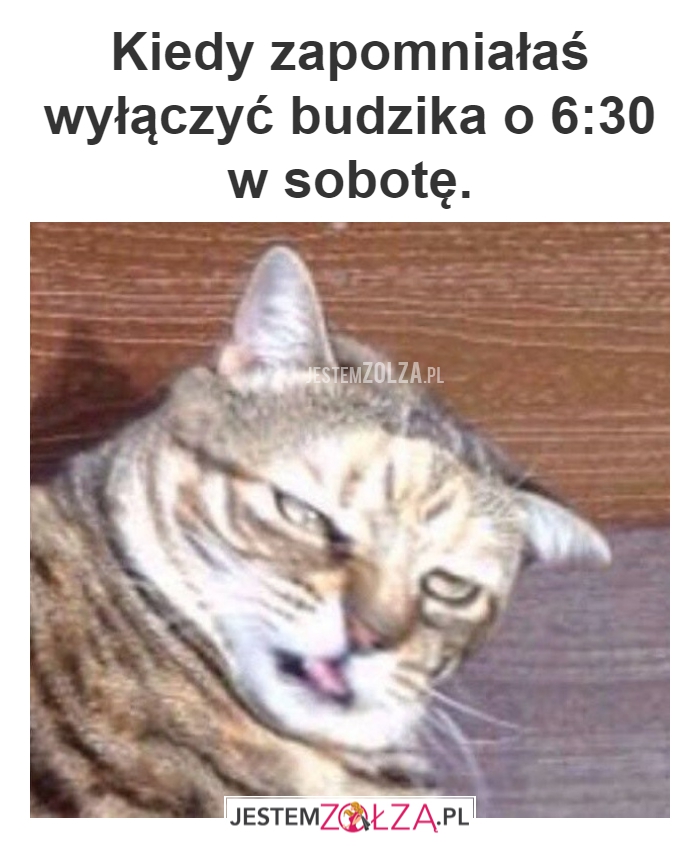 PESZEK
