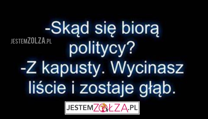 GŁĄB^^