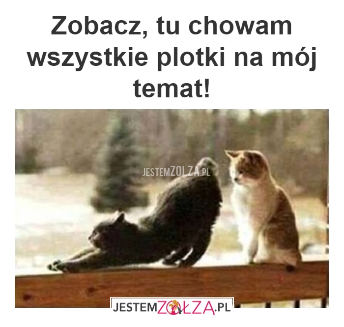 ZOBACZ
