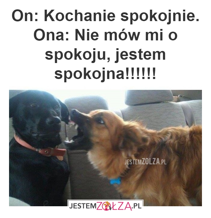 JA CI DAM SPOKOJNIE