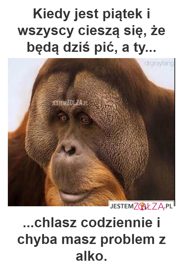 ALKOHOL
