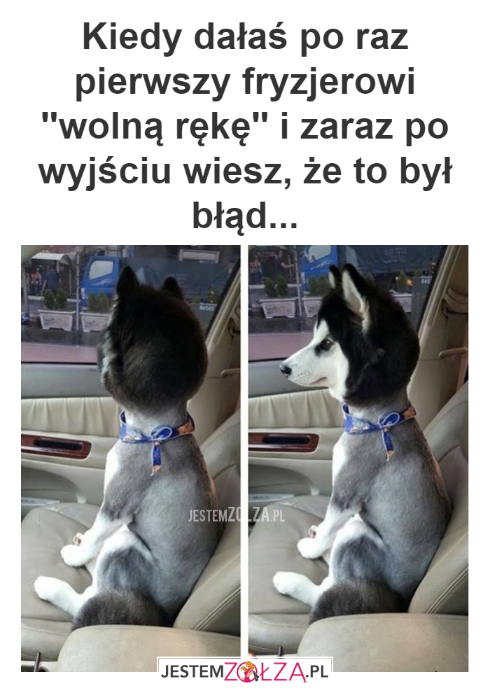 DAJ FRYZJEROWI WOLNĄ RĘKĘ...