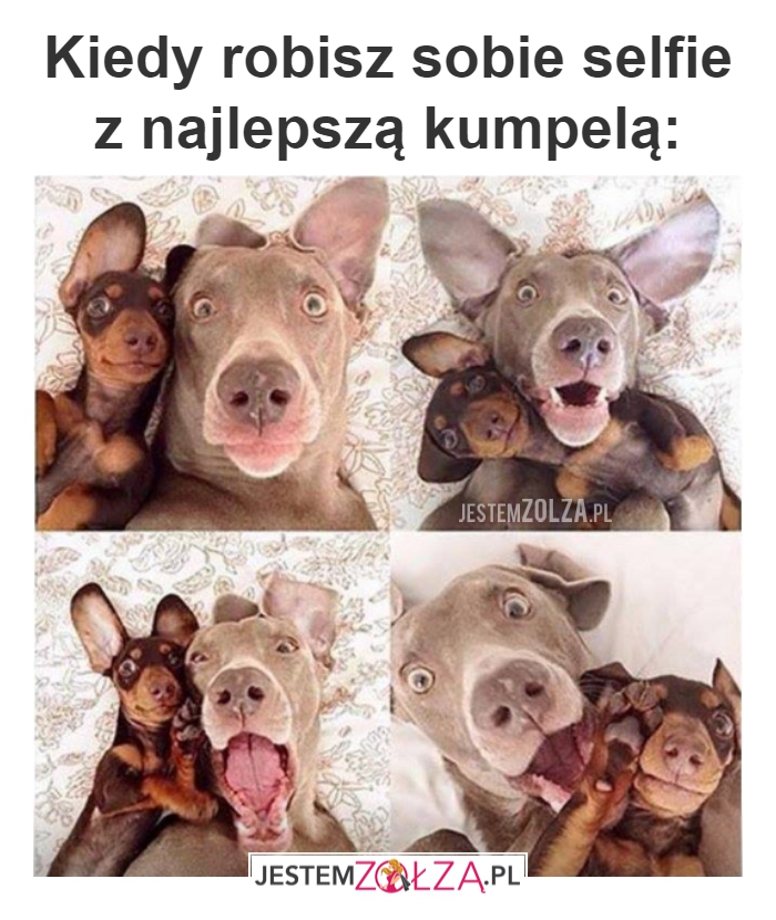 Kumpela