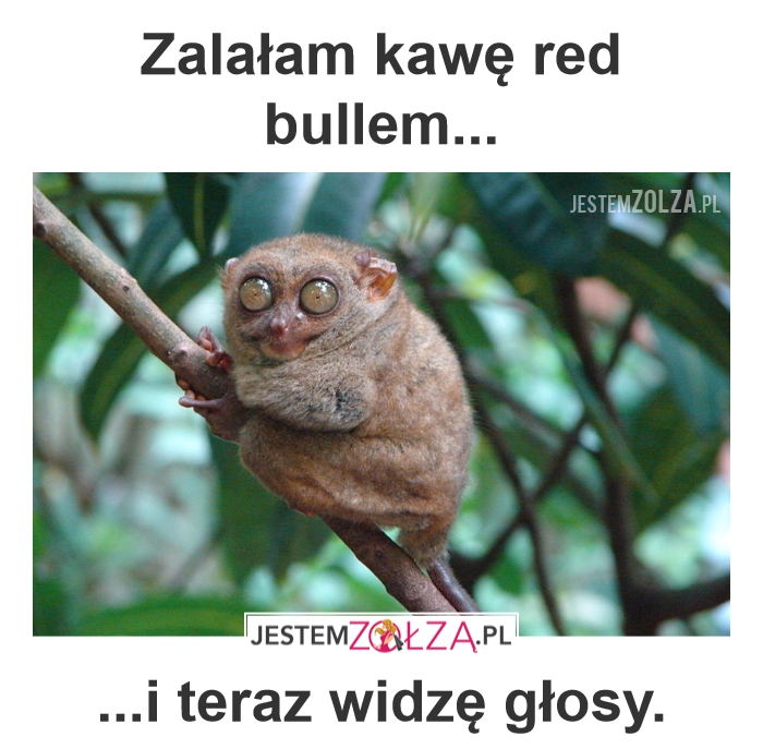 Niebezpieczna kombinacja