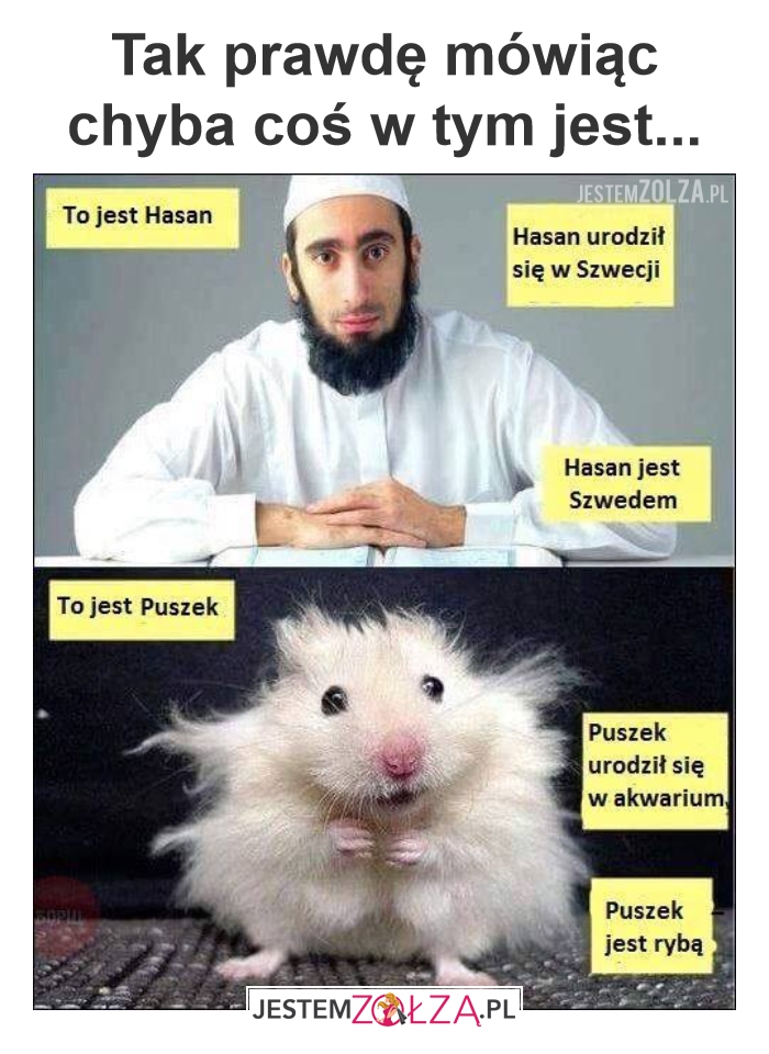 Logika dzisiejszych czasów