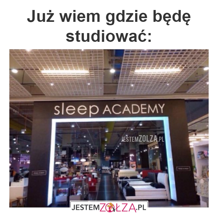 Studia