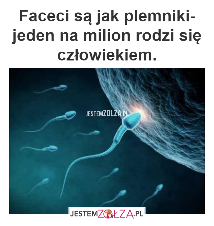 FACECI SĄ JAK