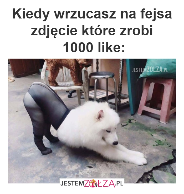 like
