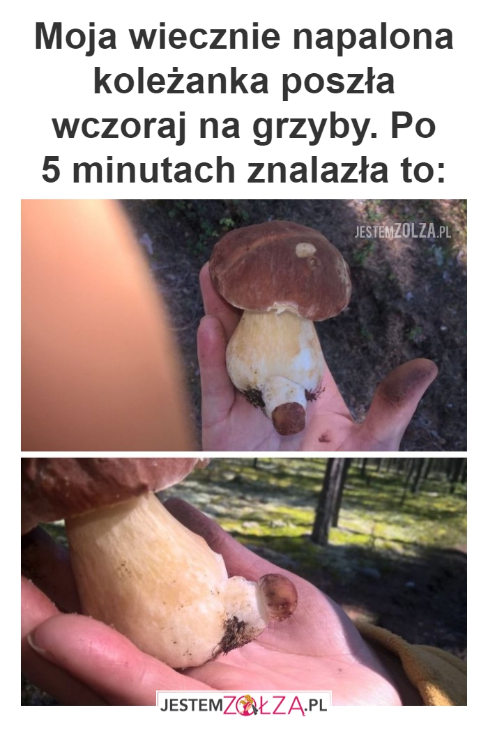 Wiecznie napalona