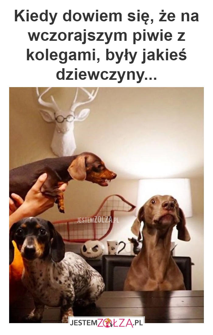 LEPIEJ MÓW PRAWDĘ