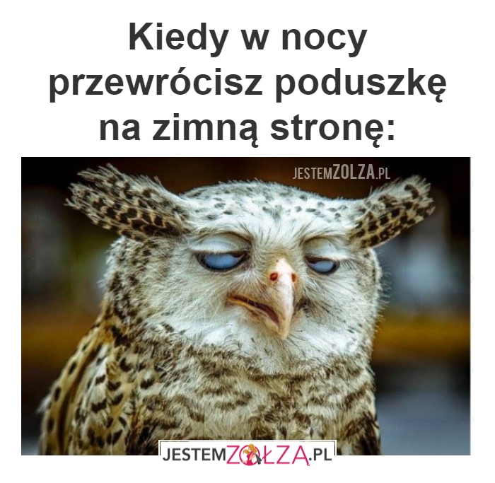 Poduszka