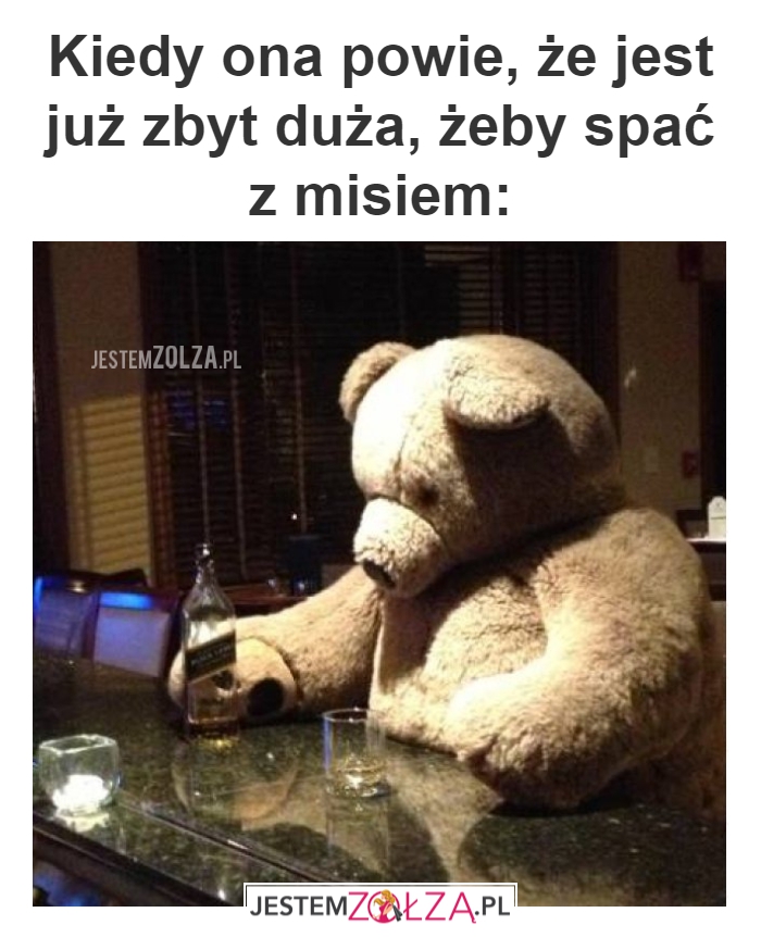 Biedny miś