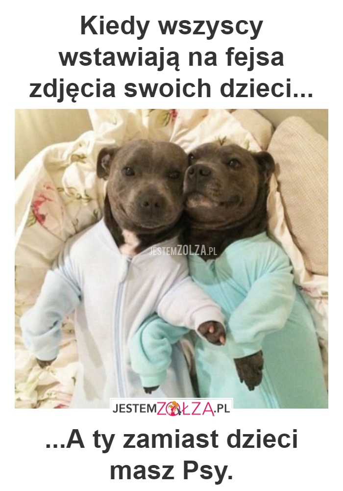 MÓJ WYBOR