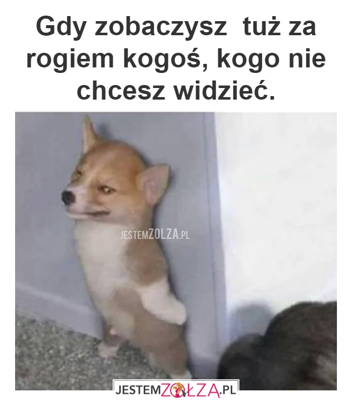 SZYBKIE WYCOFANIE