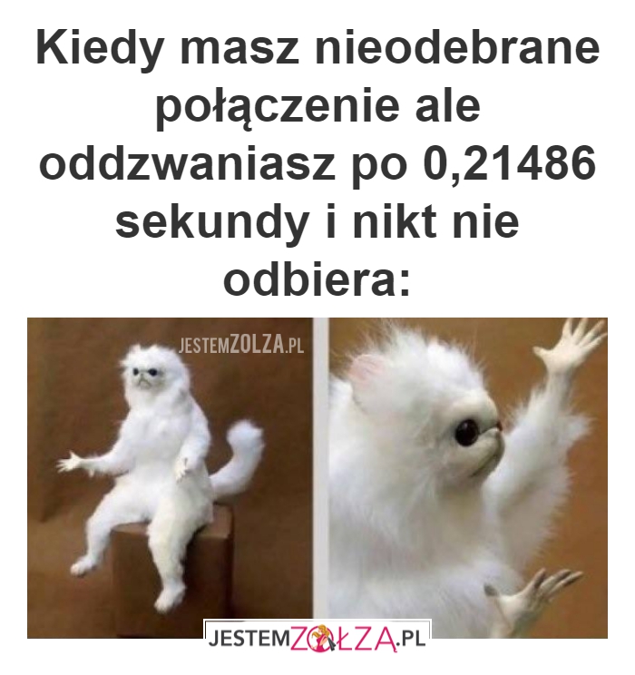 Nikt nie odbiera