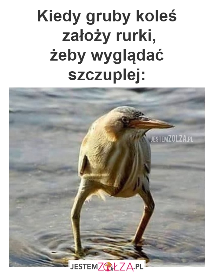 Gruby koleś