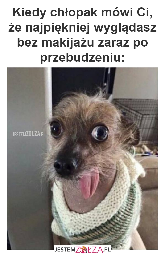 Pobudka