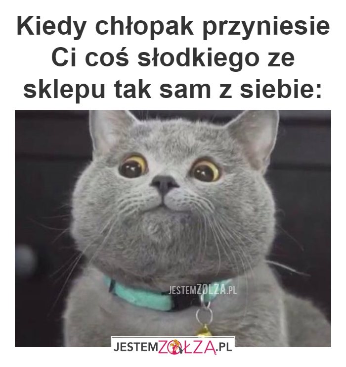SZOK ,