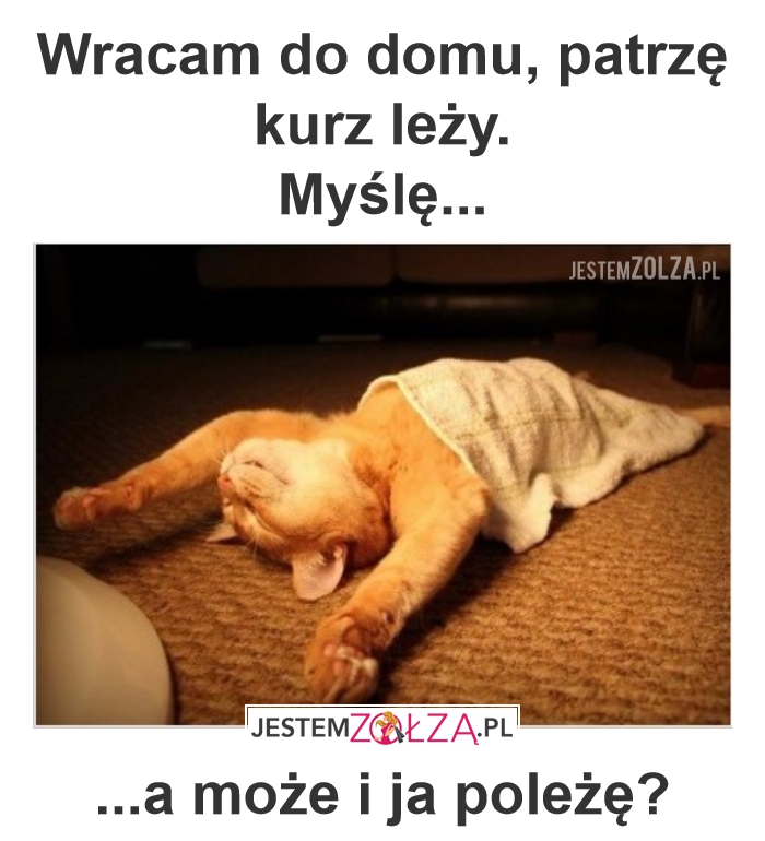 Jak wszyscy to wszyscy