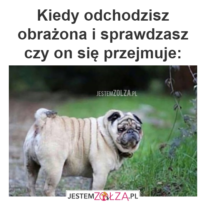 JEGO REAKCJA