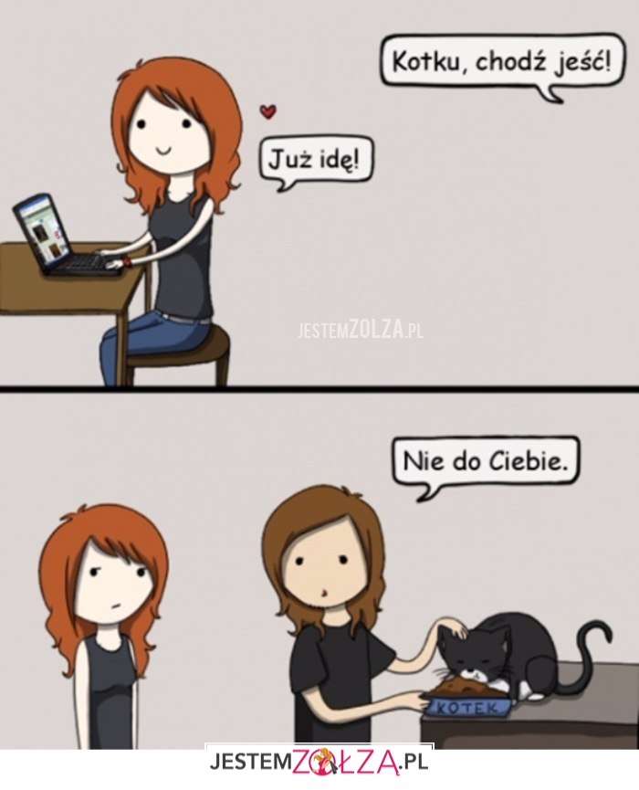 Kotek