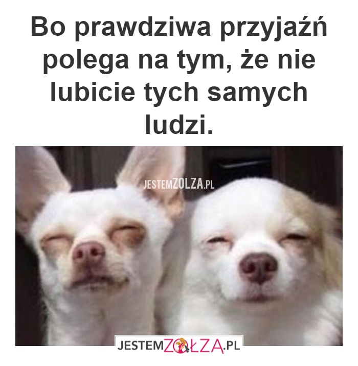 PRAWDZIWA PRZYJAŹŃ