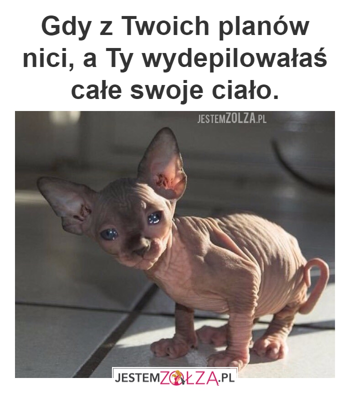 I na co to golenie?