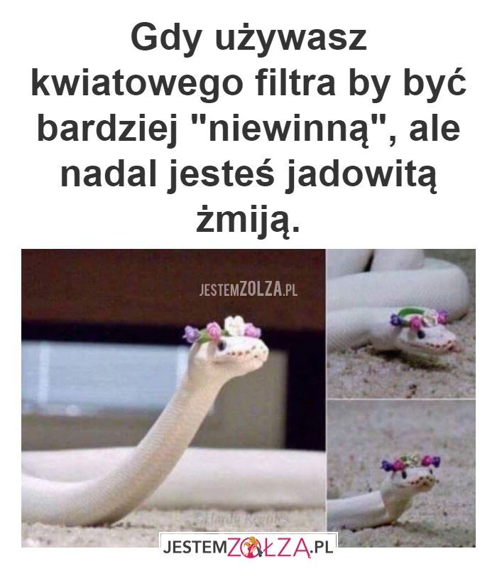 Jad