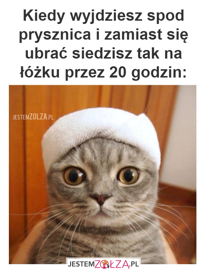 20 godzin