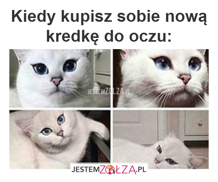 NOWA KREDKA