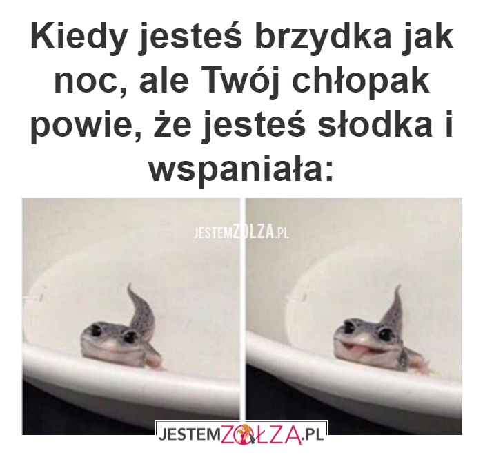 UKOCHANY MÓJ