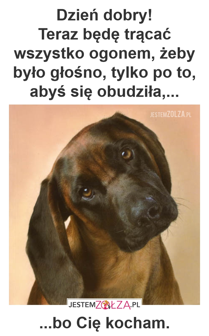 Piesek