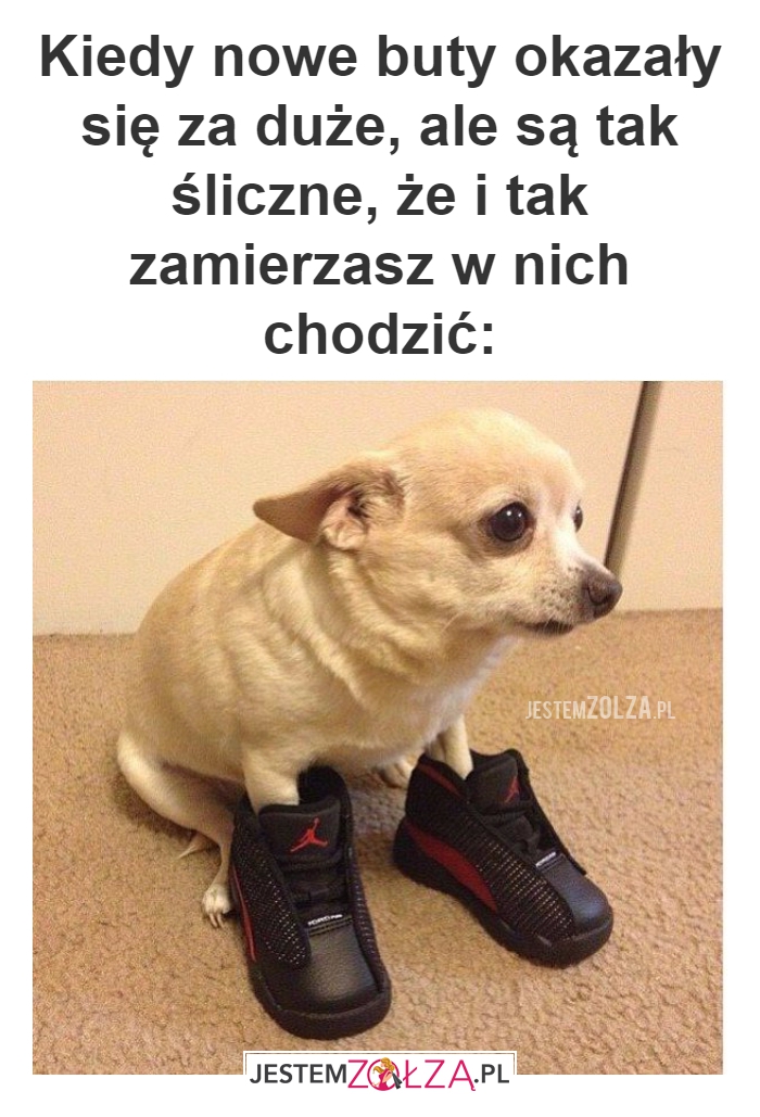 Buty