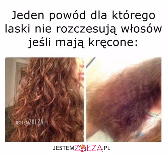 jeden powód