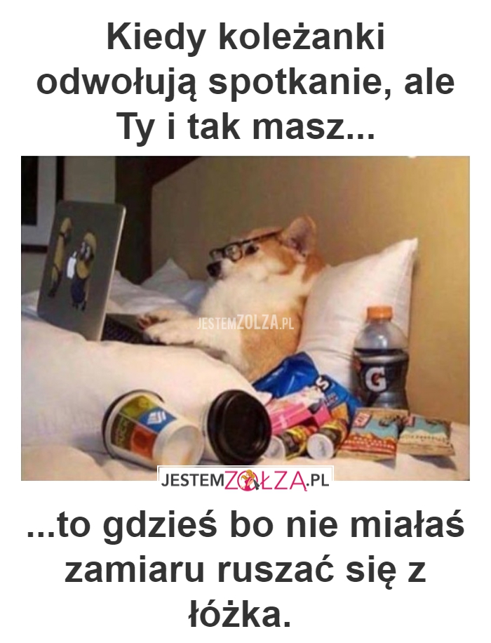 KOLEŻANKI