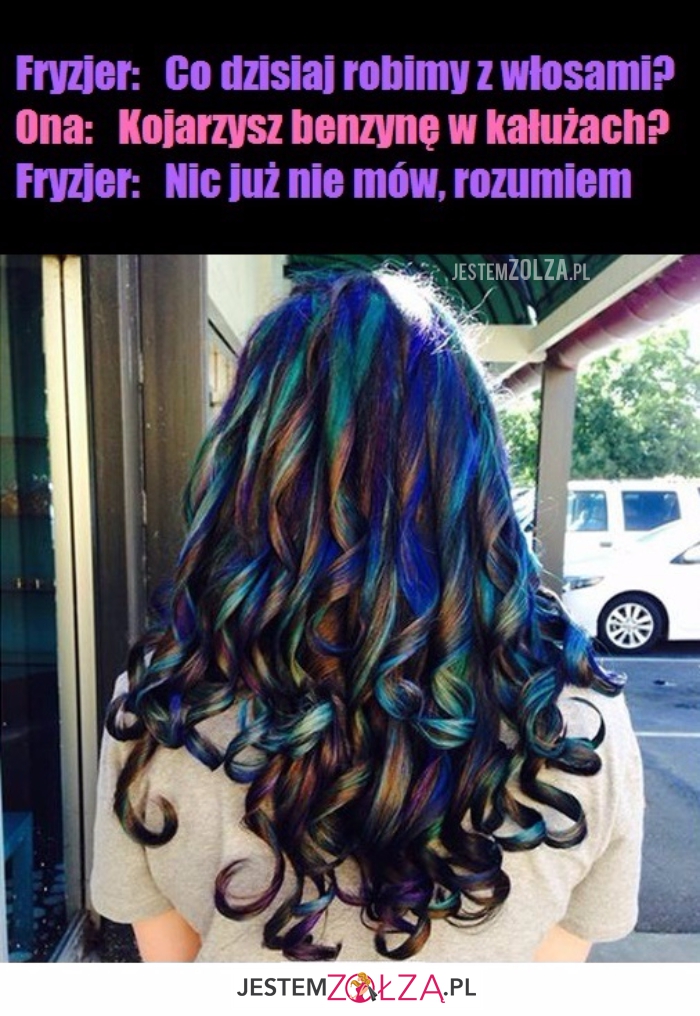Co dziś robimy?