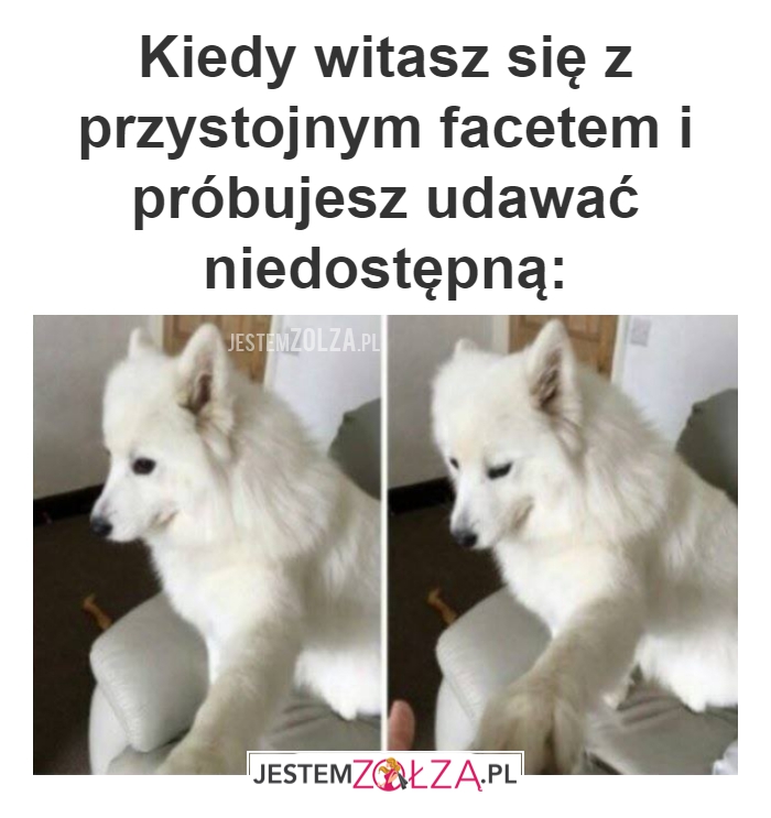 Niedostepna