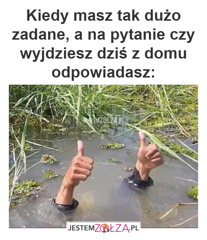Praca domowa