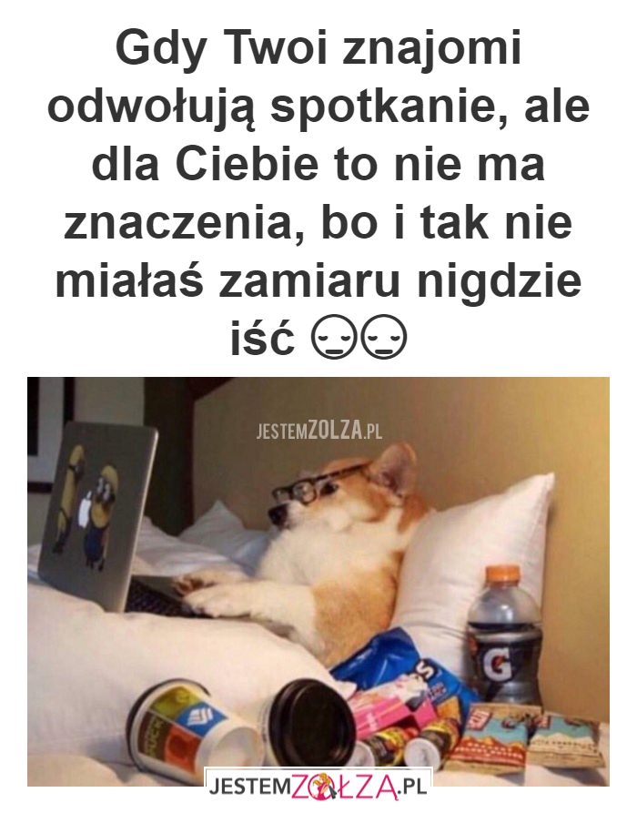 No już idę... Albo nie.